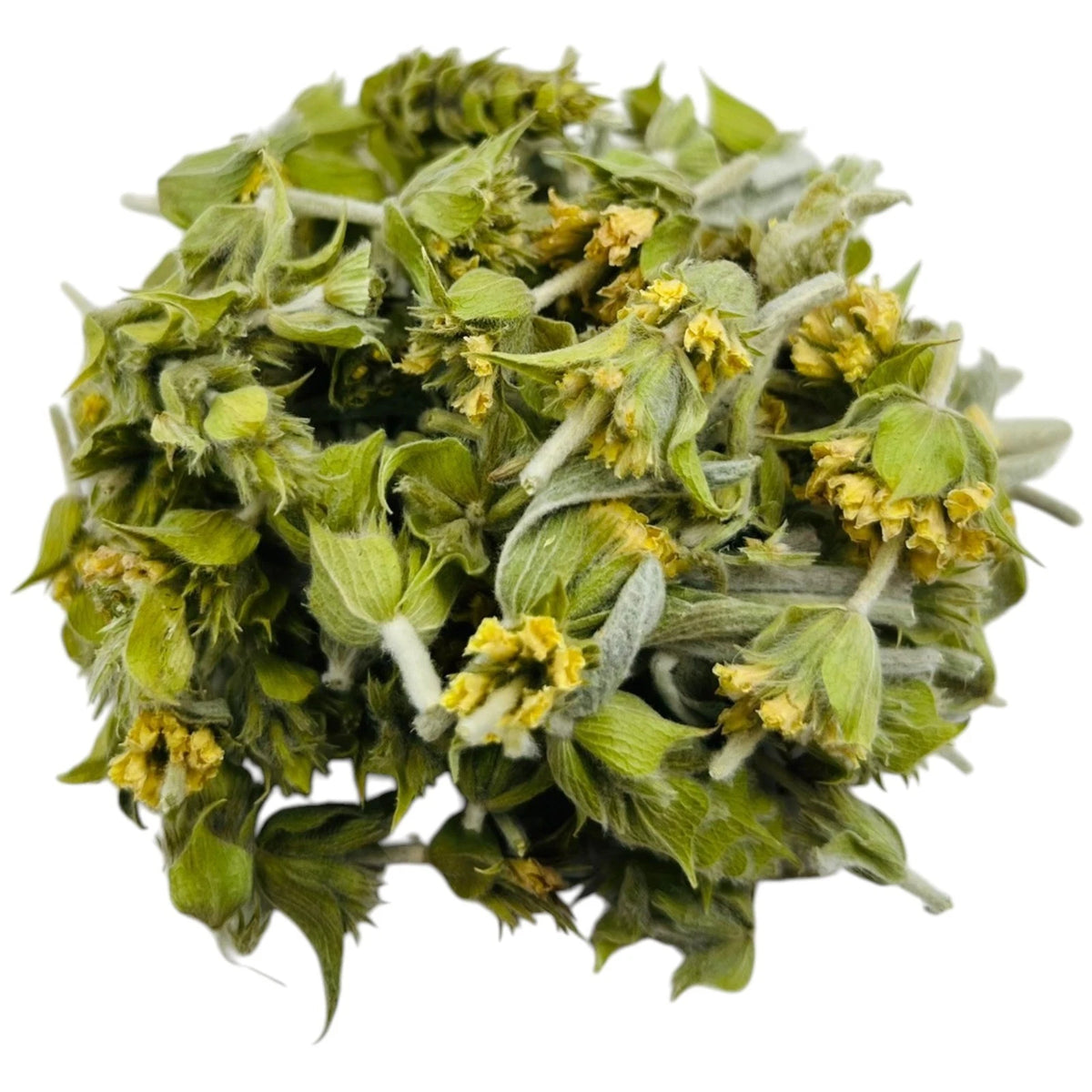 Tè Greco di Montagna (Sideritis spp.)